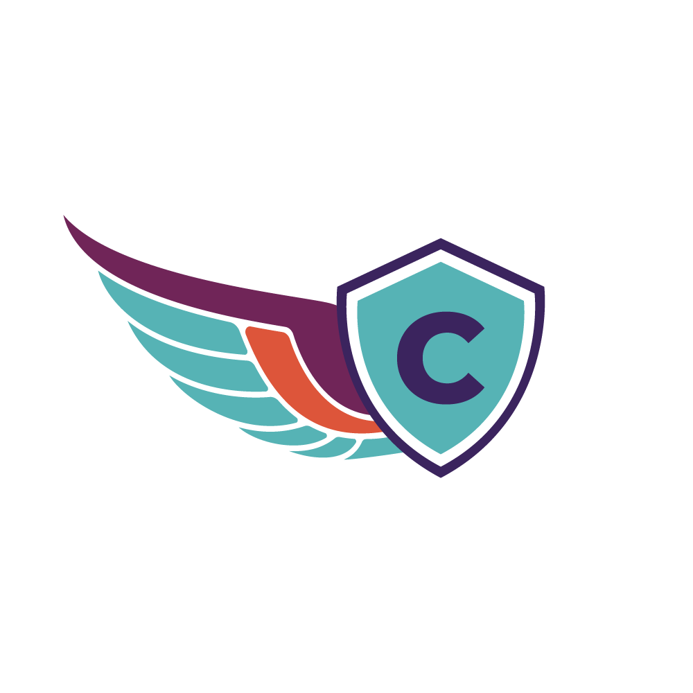 CYBERWING TECHNOLOGIES logo