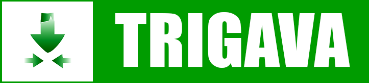 SC Trigava SRL logo